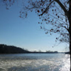 Meet your Posher, Shelby